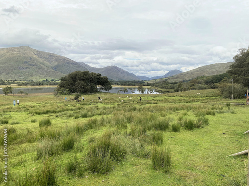 A view of the Scottish Countryside near Inverary on a cloudy day