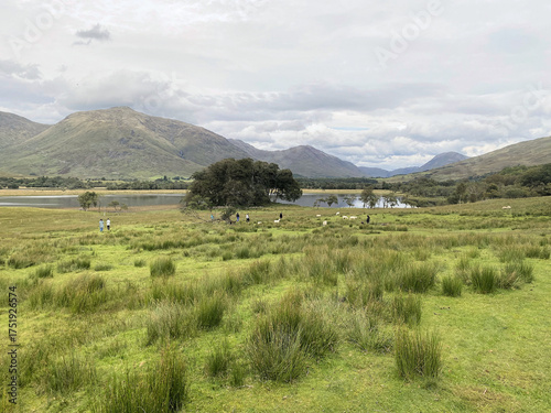 A view of the Scottish Countryside near Inverary on a cloudy day