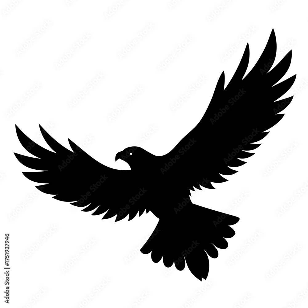 Fototapeta premium eagle vector illustration