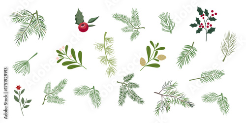 A collection of evergreen branches and berries. Branches of pine, fir, spruce, fir tree, boxwood, thuja, juniper, holly, etc. Vector illustration for Christmas and New Year.	
