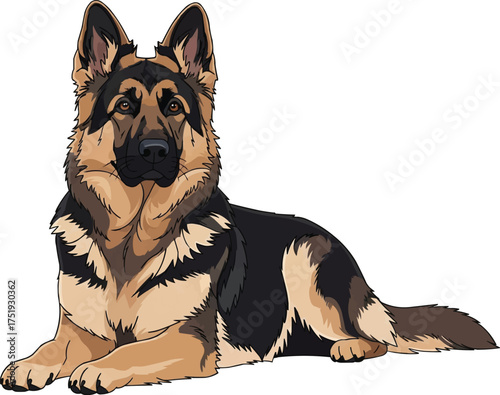 East European Shepherd dog lying down relaxed alert illustration