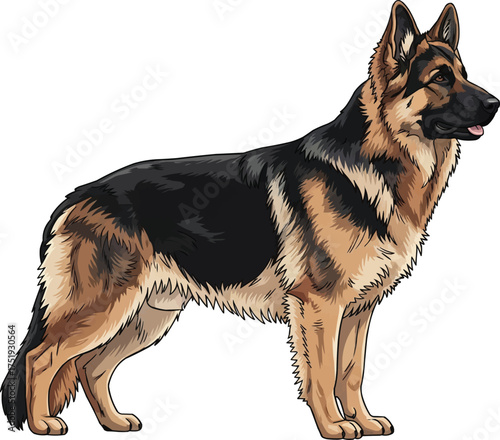 East European Shepherd dog standing side profile vector illustration