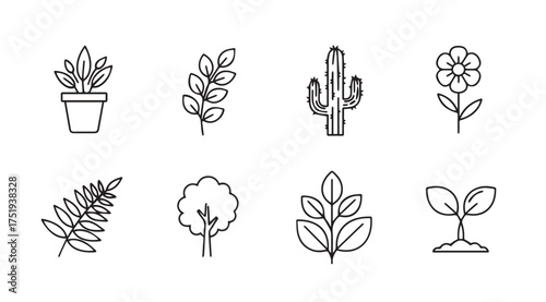Set of hand drawn botanical icons featuring plants flowers and trees for organic design vector