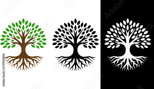 Minimalist Vector Tree of Life Logo in Black and White with Colorful Accents, Clean and Symmetrical Design