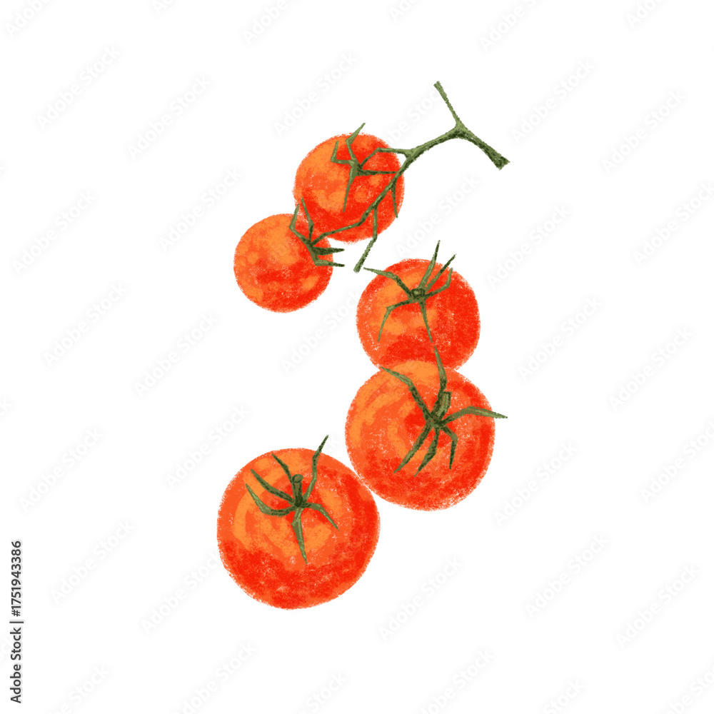 Fototapeta premium Five Orange Tomatoes Illustration
