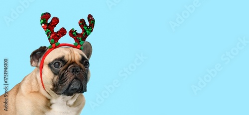 Cute bulldog wearing reinde...