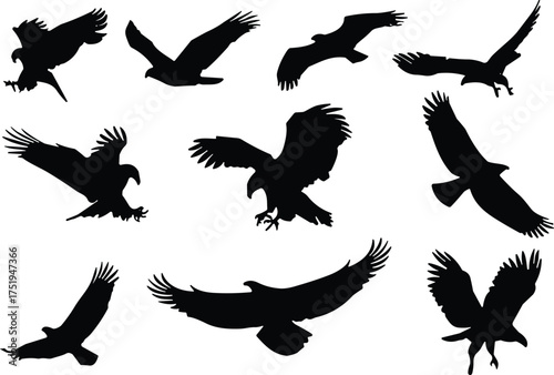 Set of nine black bird silhouettes in various flying and landing poses, ideal for wildlife, design, and motion studies