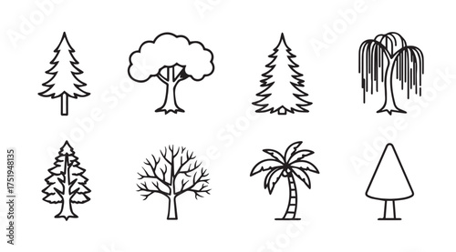 Hand drawn sketch collection diverse tree types natural environment elements simple line art style vector
