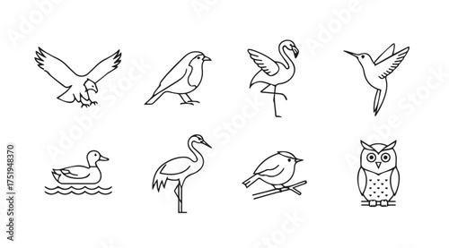 Set of hand drawn line art sketches featuring various bird species in simple artistic style vector