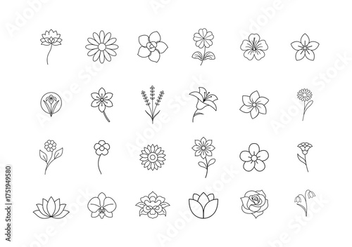 Collection of delicate hand-drawn floral illustrations in scalable vector format