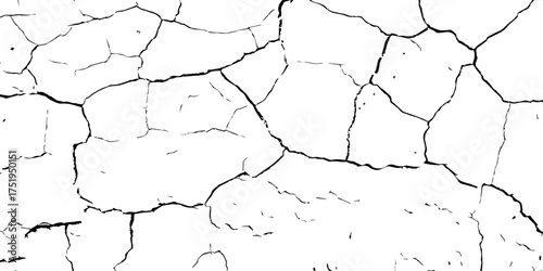 Cracked wall texture in high contrast black and white, perfect for grunge backgrounds, decay effects, or aged urban design references.

