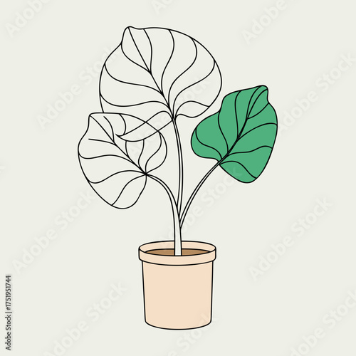 Elegant single line drawing of a fiddle leaf fig plant in a pot vector illustration