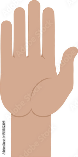 Flat Design Open Hand Sign Palm Gesture Illustration Graphic