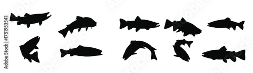 trout fish silhouette on white background