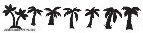 vector graphics set of different palm tree silhouette black 