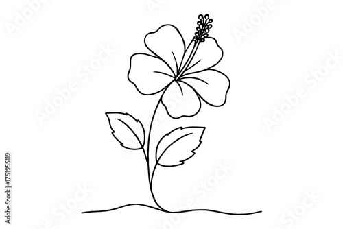 branch of lilac,
Line Drawing of a Hibiscus Flower,
Black and White Botanical Illustration of Elegance
