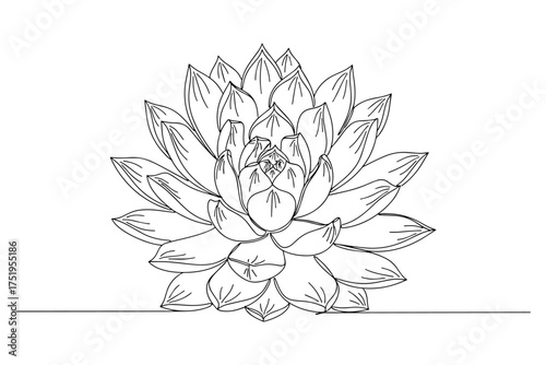 Line Drawing of a Succulent Plant,
vector illustration of lily,
Continuous Line Illustration Highlighting Natural Elegance and Simplicity