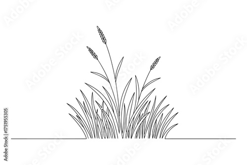 Line Drawing of Wild Grass,
grass vector illustration,
Continuous Line Art Capturing Natural Simplicity and Serenity