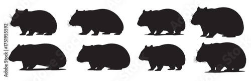 wombat silhouette white background vector