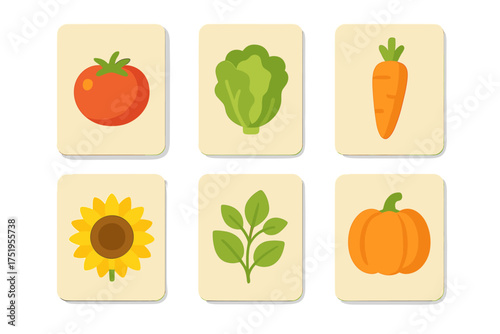 Set of six educational flashcards with simple graphic designs of garden produce and a sunflower