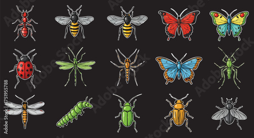 A detailed illustration showcases a diverse collection of insects, meticulously rendered with intricate textures and vibrant colors against a dark backdrop.