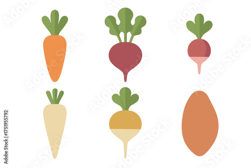 Colorful assortment of various root vegetables including carrot beet radish and parsnip