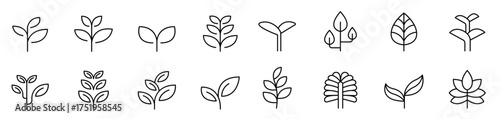 Sprout icon set in thin line style