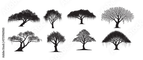 willow tree silhouette vector