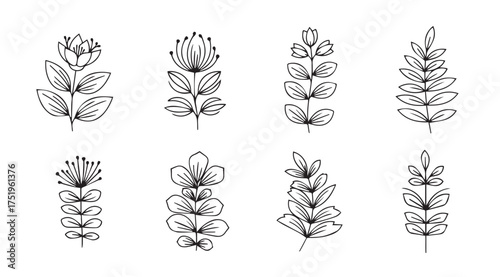 Collection of delicate botanical line drawings and sketchy floral elements for artistic design vector