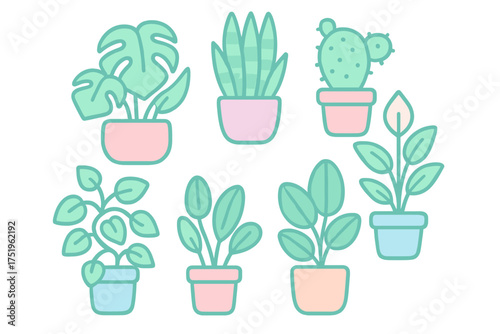 Collection of decorative indoor potted plants featuring tropical foliage and succulents in pastel containers
