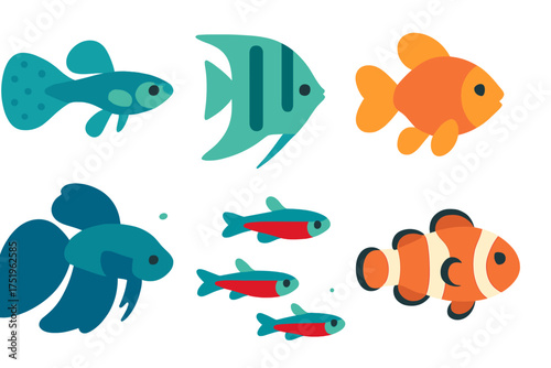 Various popular tropical aquarium fish species including clownfish betta and angelfish
