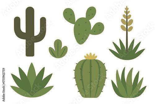 Stylized collection of desert flora, including various cacti and succulent plants