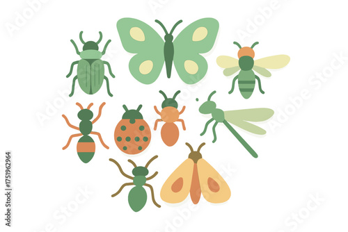Colorful stylized bugs and flying insects assortment including butterfly, ladybug, and dragonfly