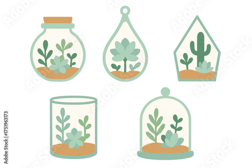 Set of miniature indoor terrariums featuring succulents and cacti in various glass vessels