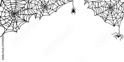 Horizontal frame with a spider hanging from a web. Black outline drawing for Halloween. Hand drawn graphic frame with space for text. Line illustration of a creepy insect, threads for decoration