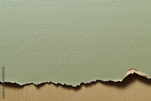 Green corrugated cardboard torn edge texture