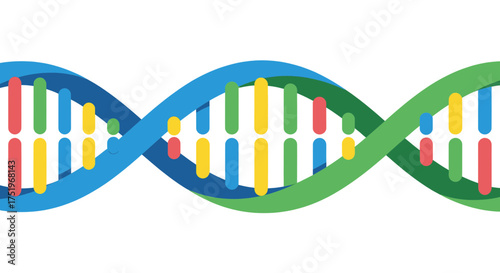 DNA double helix structure illustration on white background science and biology concept.