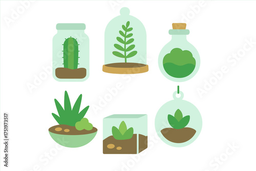 Six potted houseplants and miniature terrariums for modern home decoration