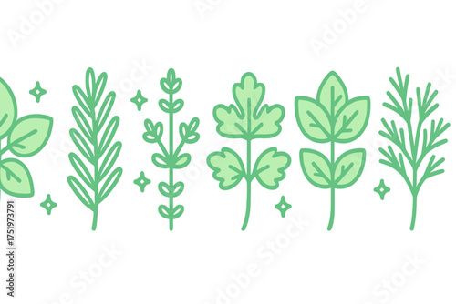 Decorative seamless border pattern of fresh green culinary herbs and spices