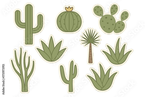 Stylized flat design set of desert plants and cacti including succulents and agave