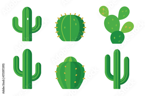 Set of various desert cactus species including saguaro barrel and prickly pear plants