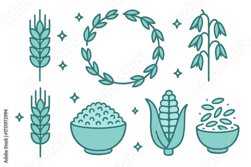 Collection of whole grains, natural cereals, and organic food ingredients
