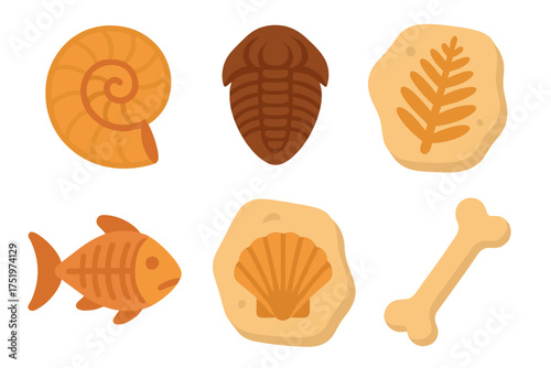 Set of ancient prehistoric fossils and bone remains on white background