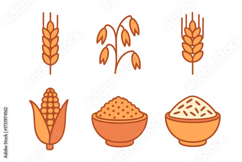 Common cereal grains and crops including wheat, oats, corn, rice, and bowls of flour