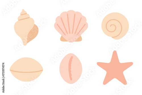 Collection of marine shells and a starfish in soft pastel colors for beach themes