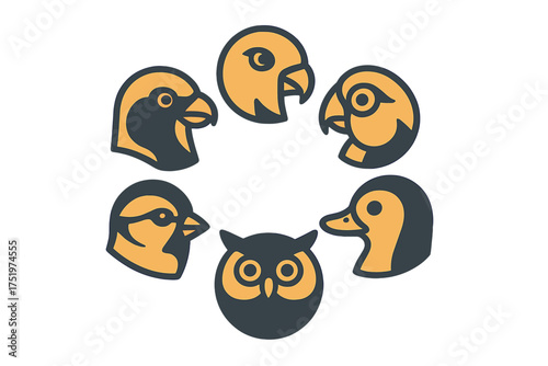 Minimalist collection of various bird heads arranged in a circular pattern on a white background