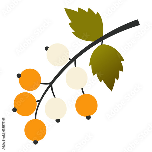 White currants hanging on branch with leaves and orange stems vector on white background.