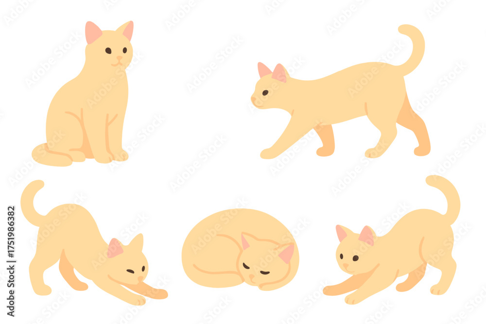 Obraz premium Five adorable light orange cats in various poses sitting walking stretching and sleeping