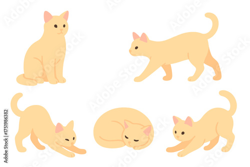 Five adorable light orange cats in various poses sitting walking stretching and sleeping