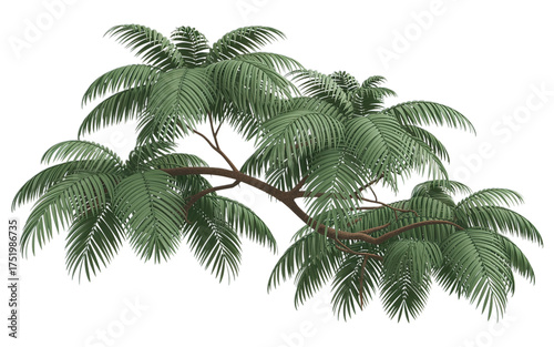 Vibrant palm leaves reaching towards the sky, evoking tropical vibes and natural beauty for travel and lifestyle projects, offering a refreshing look.